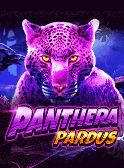 Video slot game cover